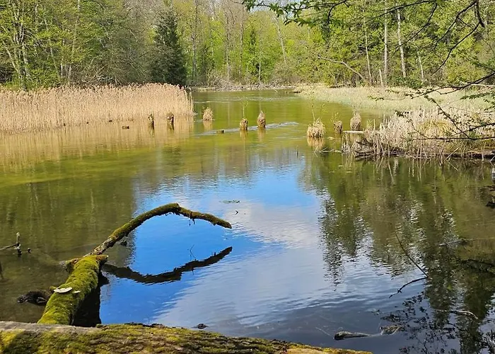 Goscinne Majka Stare Jest Piekne Апартаменты Мронгово